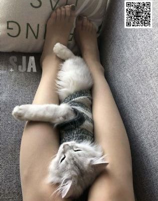 女教师教室hd在线观看_4K高清迅雷在线观看